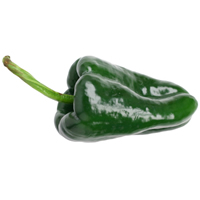 chile poblano